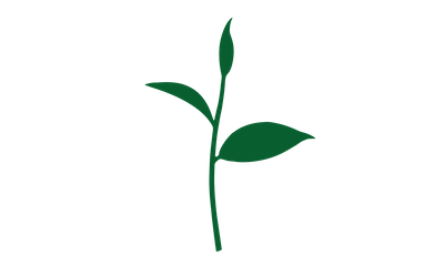 greenhouse salon