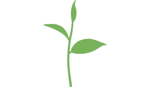 greenhouse salon